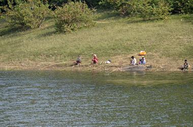 Periyar Lake N.P., Thekkady_DSC7473_H600